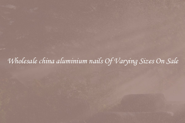 Wholesale china aluminium nails Of Varying Sizes On Sale