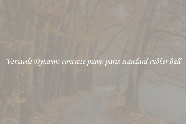 Versatile Dynamic concrete pump parts standard rubber ball