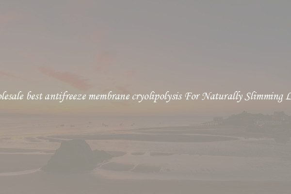 Wholesale best antifreeze membrane cryolipolysis For Naturally Slimming Looks