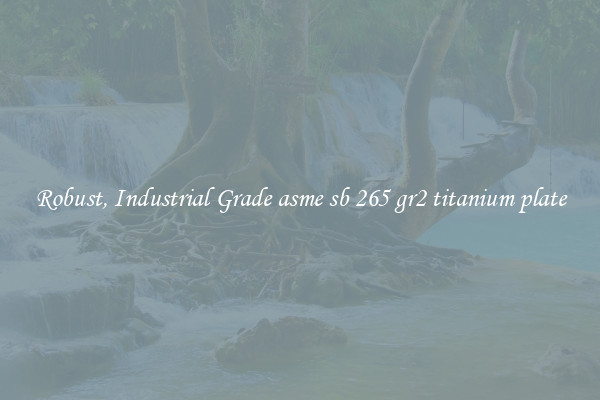Robust, Industrial Grade asme sb 265 gr2 titanium plate