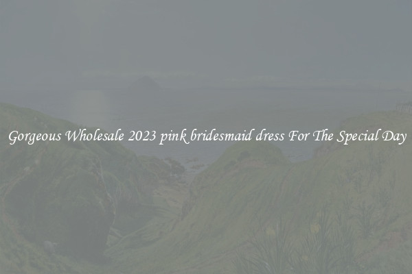 Gorgeous Wholesale 2023 pink bridesmaid dress For The Special Day