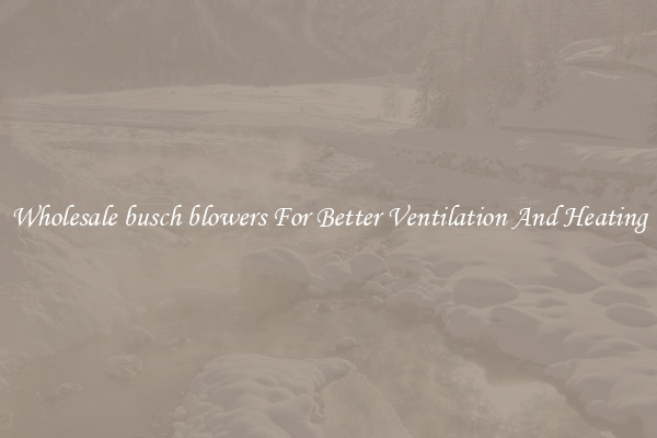 Wholesale busch blowers For Better Ventilation And Heating