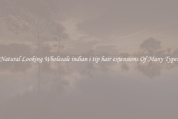 Natural Looking Wholesale indian i tip hair extensions Of Many Types