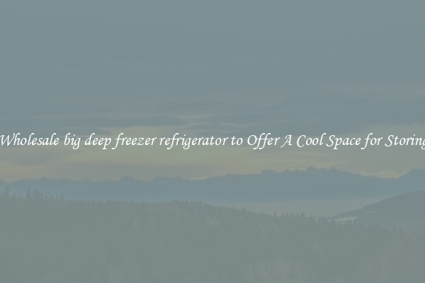 Wholesale big deep freezer refrigerator to Offer A Cool Space for Storing