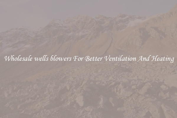 Wholesale wells blowers For Better Ventilation And Heating