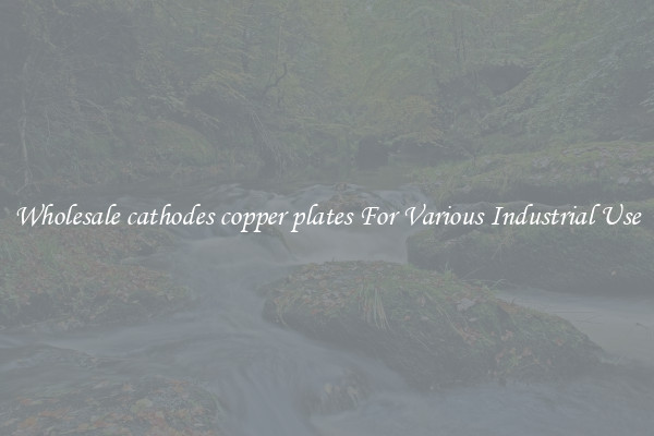 Wholesale cathodes copper plates For Various Industrial Use