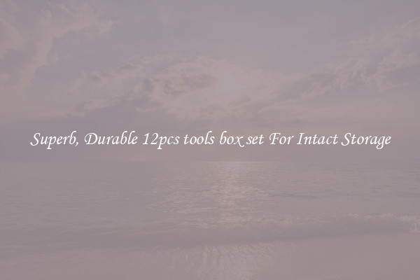 Superb, Durable 12pcs tools box set For Intact Storage