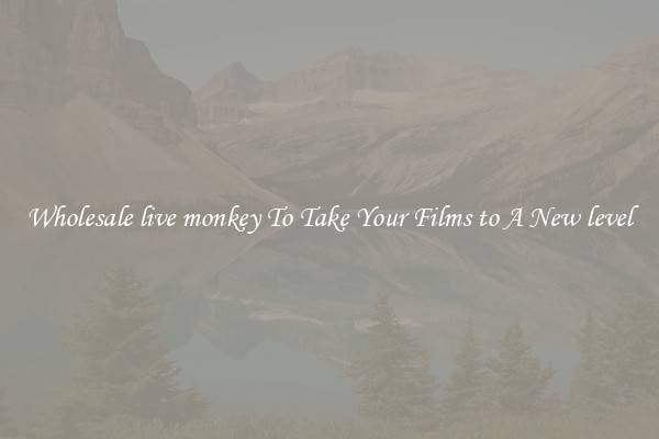 Wholesale live monkey To Take Your Films to A New level