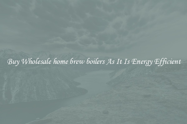 Buy Wholesale home brew boilers As It Is Energy Efficient