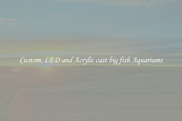 Custom, LED and Acrylic cast big fish Aquariums