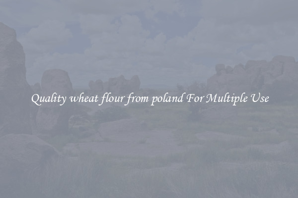Quality wheat flour from poland For Multiple Use
