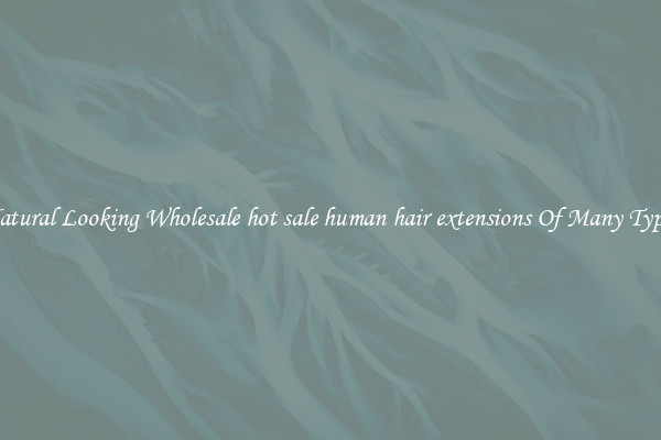 Natural Looking Wholesale hot sale human hair extensions Of Many Types