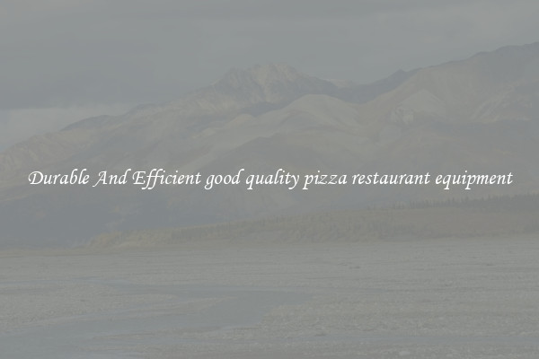 Durable And Efficient good quality pizza restaurant equipment