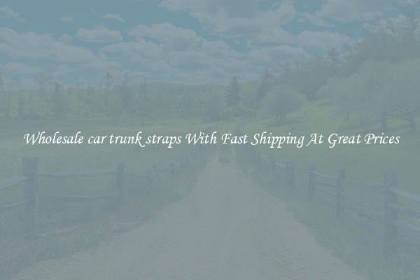 Wholesale car trunk straps With Fast Shipping At Great Prices
