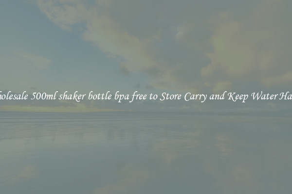 Wholesale 500ml shaker bottle bpa free to Store Carry and Keep Water Handy