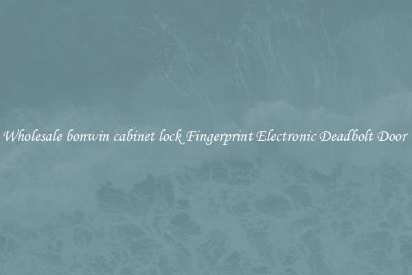 Wholesale bonwin cabinet lock Fingerprint Electronic Deadbolt Door 
