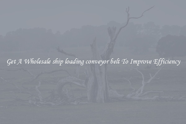 Get A Wholesale ship loading conveyor belt To Improve Efficiency