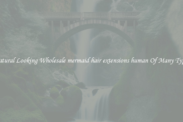 Natural Looking Wholesale mermaid hair extensions human Of Many Types