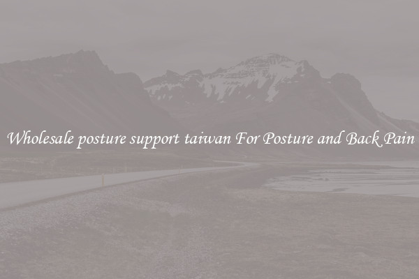 Wholesale posture support taiwan For Posture and Back Pain