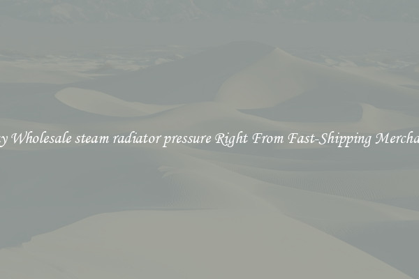 Buy Wholesale steam radiator pressure Right From Fast-Shipping Merchants