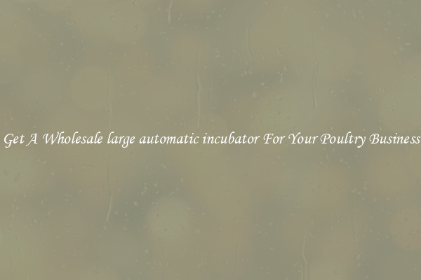 Get A Wholesale large automatic incubator For Your Poultry Business