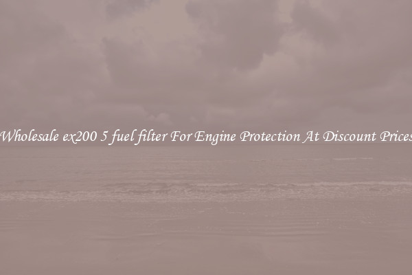 Wholesale ex200 5 fuel filter For Engine Protection At Discount Prices
